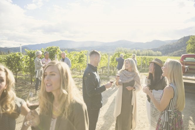 Four friends laugh and talk about collaboration tools while drinking wine in a vineyard