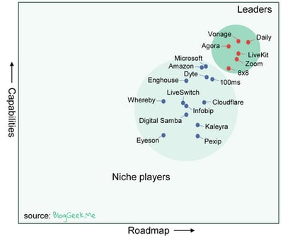 BlogGeek.Me chart Chart that shows capabilities on the vertical axis and rodmap on the horizontal axis. The chart has two circles on it, one for niche players and one for leaders. A dot representing Vonage is placed in the top left of the leaders circle.