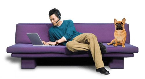 man with dog on purple couch wearing headset using laptop
