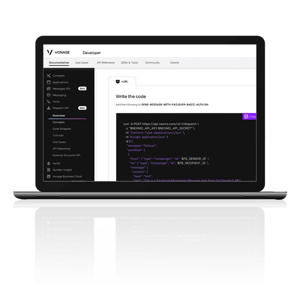 Screen grab of the API Developer Center showing code that can be copied for use.