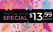 First Day of Fall Stylized artwork with First Day of Fall $13.99 promo message