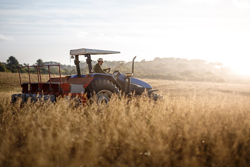 Farmer tractor driver picking Tractor driver doing the picking.