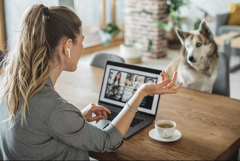 remote work woman woman on a video conference working from home in her kitchen, with dog