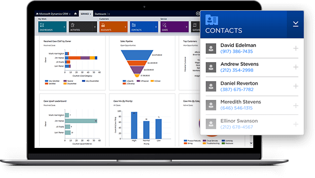 Microsoft Dynamics Interface Microsoft Dynamics Interface