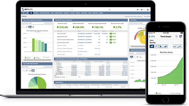 Netsuite Interface Netsuite Interface